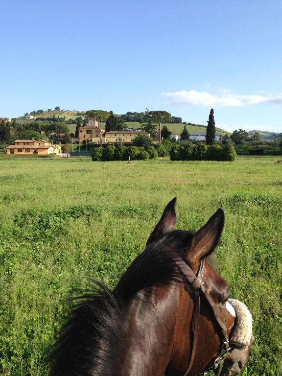 Agriturismo Villa Irelli Castellalto Екстер'єр фото